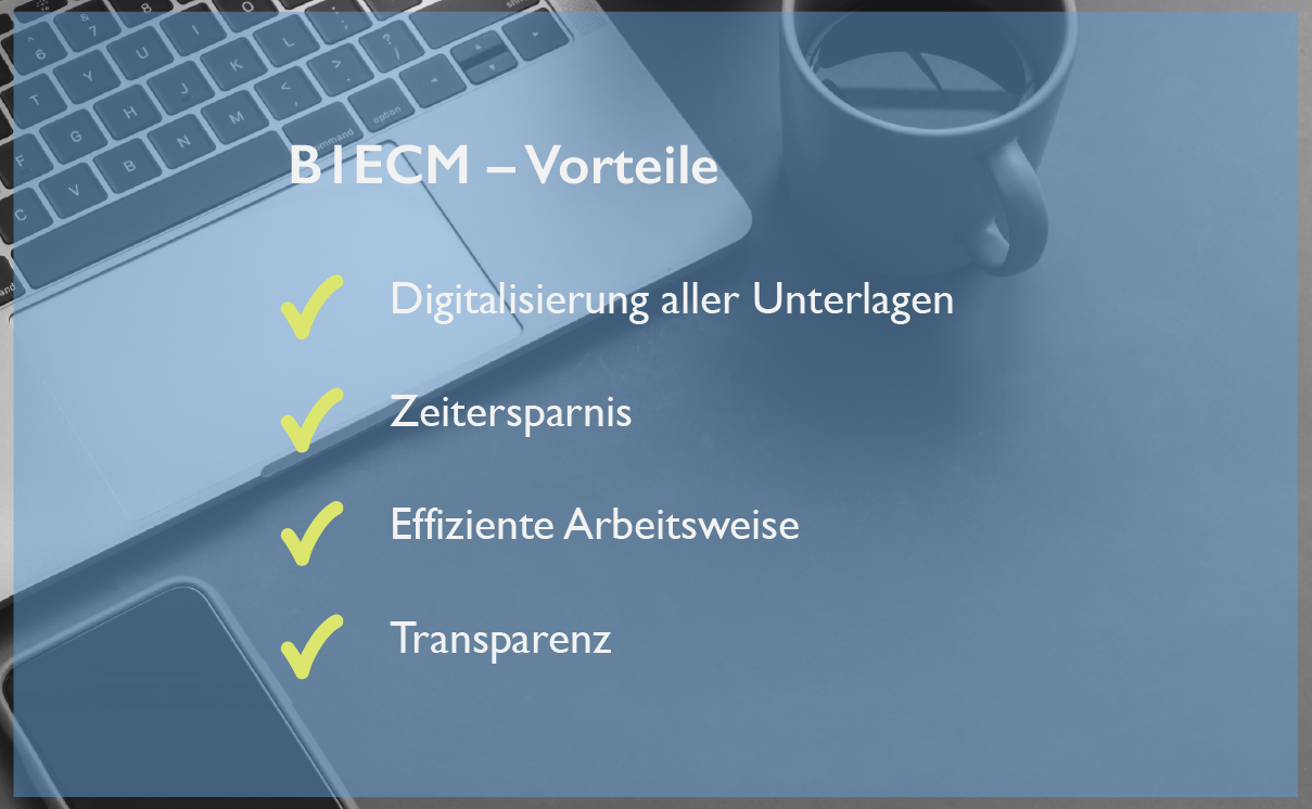 B1ECM Vorteile
